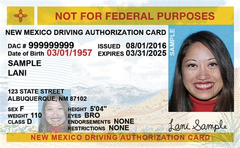 nm dmv driving record|FREE New Mexico MVD Permit Practice Test 2024.